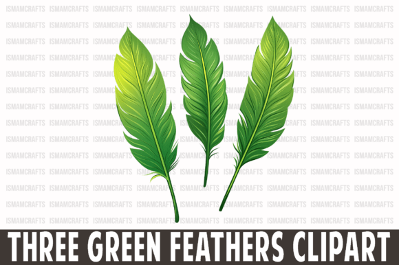 Three Green Feathers Clipart PNG Review for Real Embroidery